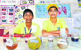 Rahul and Akash from Government High School, Dadu Majra, exhibit their project during the exhibition on Wednesday.