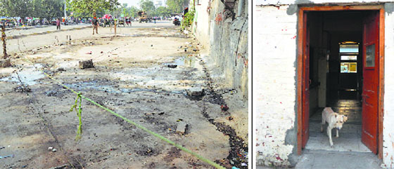The spot outside the station where visitors urinate in the open; and (right) a dog inside an office. Photos: Inderjeet Verma
