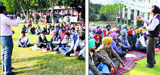 Non-teaching employees’ groups campaign on the eve of union elections at GADVASU on Wednesday.