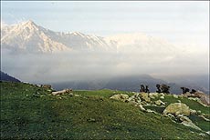 A view of Dhauladhars from Triund