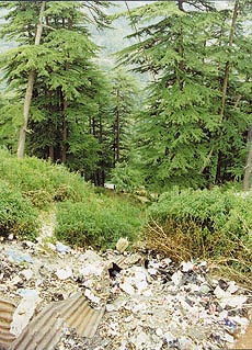 The Himalayas today face the twin threats of deforestation and pollution. Photo by Gautam Singh