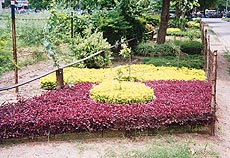 Colours at no cost