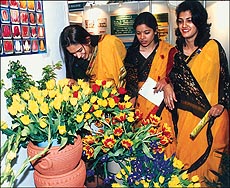 Exhibitors are all smiles as they have a look at flowers during the Agro Tech '98 on Wednesday. — A Tribune photograph