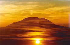 Various shades of the sun
