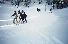 Narkanda's skiing slopes
