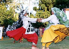 Participants performing the Haryanvi folk dance at Haryana Raj Bhavan Chandigarh on the occasion of Haryana Day celebrations on Sunday. — Photo by Pankaj Sharma