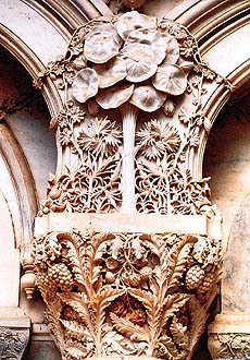 Lively, variegated jungle growth: Deep marble work