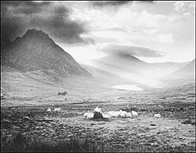 A photograph by Mark Lockett 