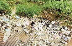 Heaps of garbage can be seen in almost every locality. 