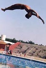 A KVS National Sports Meet participant dives at the Western Command swimminbg pool in Chandimandir, near Chandigarh, on Friday.