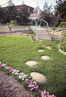 Stone steps 