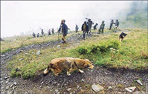 ITBP jawans being accompanied by ‘Gabbar’ and ‘Tommy’ during a long-range patrol near Barari Pass on the Himachal Pradesh-J&K border. — A Tribune Photo by Gautam Singh