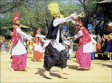 Artistes performing the bhangra