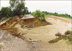 A view of the breach in the Sirhind canal due to heavy rain on Tuesday night near Chamkaur Sahib in Ropar district — A Tribune photo by Karam Singh.
