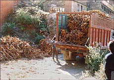 Smuggling of forest produce is rampant in the country Photo: Gian Badola