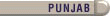 Punjab News