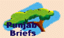 Punjab briefs