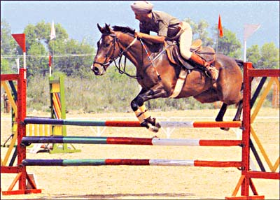 Show-jumping event in progress