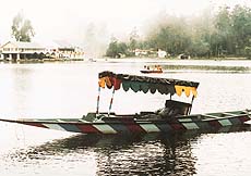 Bringing Kashmir to the South