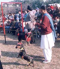 Photo by Gautam Singh