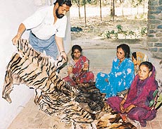 A UT Wildlife Department official with fake tiger skins and four women, who were nabbed while selling these at the Sector 20 market in Chandigarh on Monday.