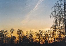 Sunset at Riehen
