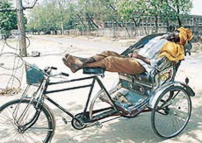 A rickshaw-puller takes time off to nap under shade outside General Hospital, Sector 16, Chandigarh, on Wednesday.  A Tribune photograph