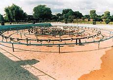 The non-functional musical fountain at the Sector 33 Terraced Garden 