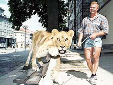 Man and lioness