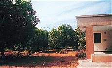 Lush grove of trees and the small room where Shastriji stays on visiting Ajod.
