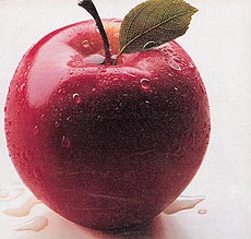 It is important to eat a variety of foods as no one or two types of food can give your body adequate nutrition.