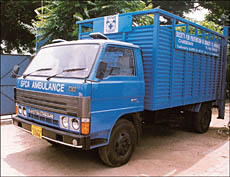 A specially-designed veterinary ambulance-cum-animal catcher acquired by the SPCA at its hospital in Sector 38 (West) in Chandigarh on Wednesday