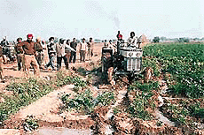 Tractors being used by the enforcement wing of PUDA to destroy cultivation raised on acquired land at Kambali village in SAS Nagar on Monday