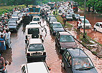 A Tribune photo