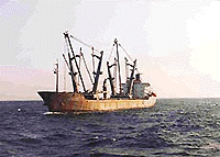 The foreign ship, which was detained by the Coast Guard on Tuesday, stays anchored at the Chennai harbour after it was brought from Pondicherry on Tuesday.