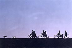 A Tribune photograph
