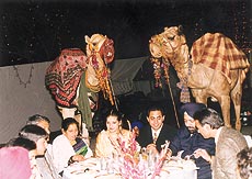 A wedding party is on at the banquet hall of chandigarh's Rock Garden