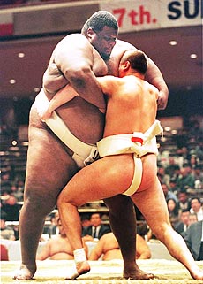 Sumo wrestlers