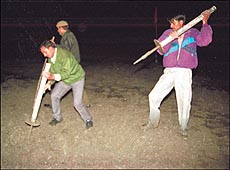Shiv Sainiks digging the pitch at Ferozshah Kotla grounds in Delhi