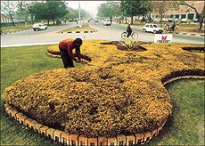 One majestic roundabout after the other is being demolished to make way for traffic lights