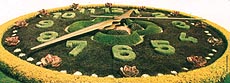 ‘The Flower Clock’ at the edge of the Jardin Anglais. Five metres in diameter, it has 6500 varieties of plants.