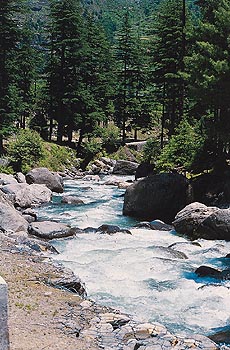 The Beas at Manali