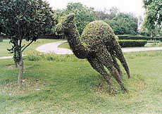 Damaged wire mesh of topiary animal skeletons in the Sector 35 Topiary Garden.
