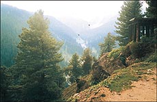 Kashmir’s beauty is immortal