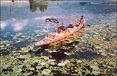 A flower boat in Nagin Lake