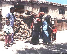 Women collecting wood.