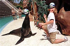 Kansas City Wizard All Star Alexi Lalas balances a soccer ball on his head, along with Clyde the Sea Lion, at Sea World, Thursday, July 15, 1999 in San Diego. Lalas will play in the MLS All Star game Saturday at Qualcomm Stadium.