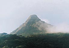 Adam’s Peak