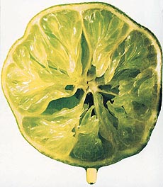 Eating sensibly and eating nutritious and balanced meals is what all of us need