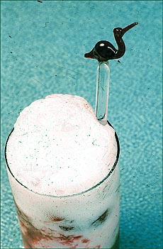 Once you get into the fun of mixing and creating your own favourite frozen desserts, the sky’s the limit. 